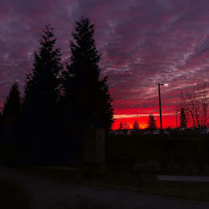 Meet your Posher, Miah